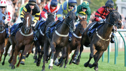 fathers-day-gift-experience-horse-racing-day